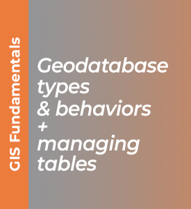 Geodatabase Types and Behaviors + Managing tables