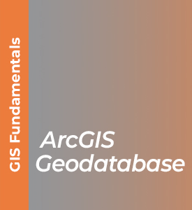 ArcGIS Geodatabase
