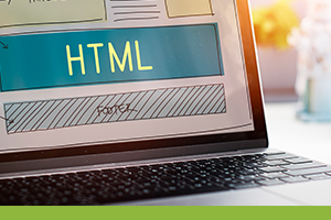 Responsive & Interactive Website